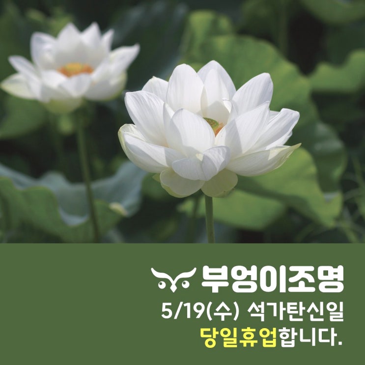  [부엉이조명] 5/19(수) 휴업안내