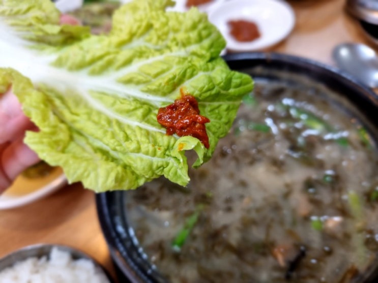  제주시 몸국 맛집 제주촐레, 구수했던 몸국 접짝뼈국