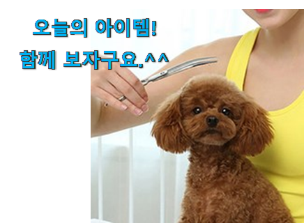 입증된 제스파 미용가위 제품 추천합니다! 입증된 제스파 미용가위 제품 추천합니다!