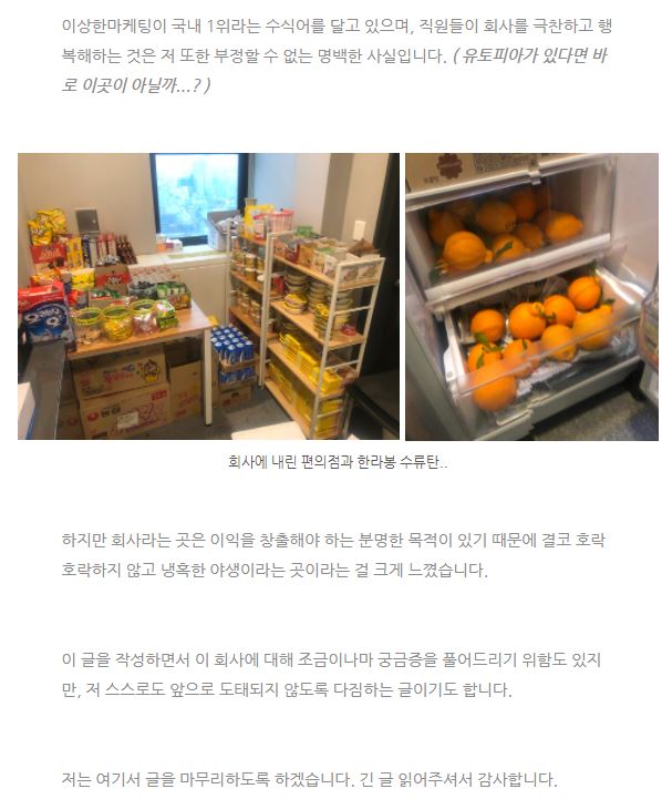 이상한마케팅 신입 최종합격 후기 모음