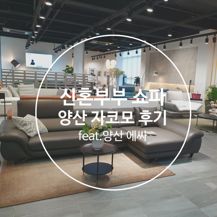  [결혼준비후기] 양산 자코모 쇼룸 후기 (feat. 양산 에싸)