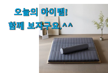 인기 더코이즈 3단 접이식 매트리스 꿀템 사람들이 왜이렇게 찾는지 알거같네요 인기 더코이즈 3단 접이식 매트리스 꿀템 사람들이 왜이렇게 찾는지 알거같네요