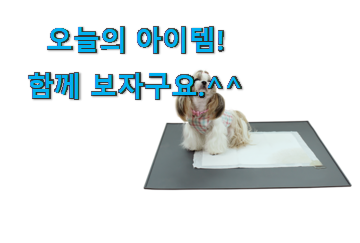 최후의 선택 반려견 배변 매트 어마어마한 갓템 추천이라구요 최후의 선택 반려견 배변 매트 어마어마한 갓템 추천이라구요