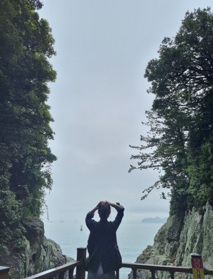  1박2일 여수,순천 뚜벅이여행| 가볼만한 곳, 당일코스/오동도, 돌산대교 야경 포토스팟, 여수랑 자전거투어