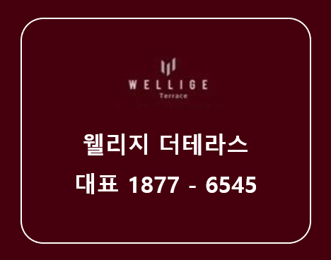  송파구 잠실역 웰리지 더테라스 상가,오피스텔 분양 (줍줍)