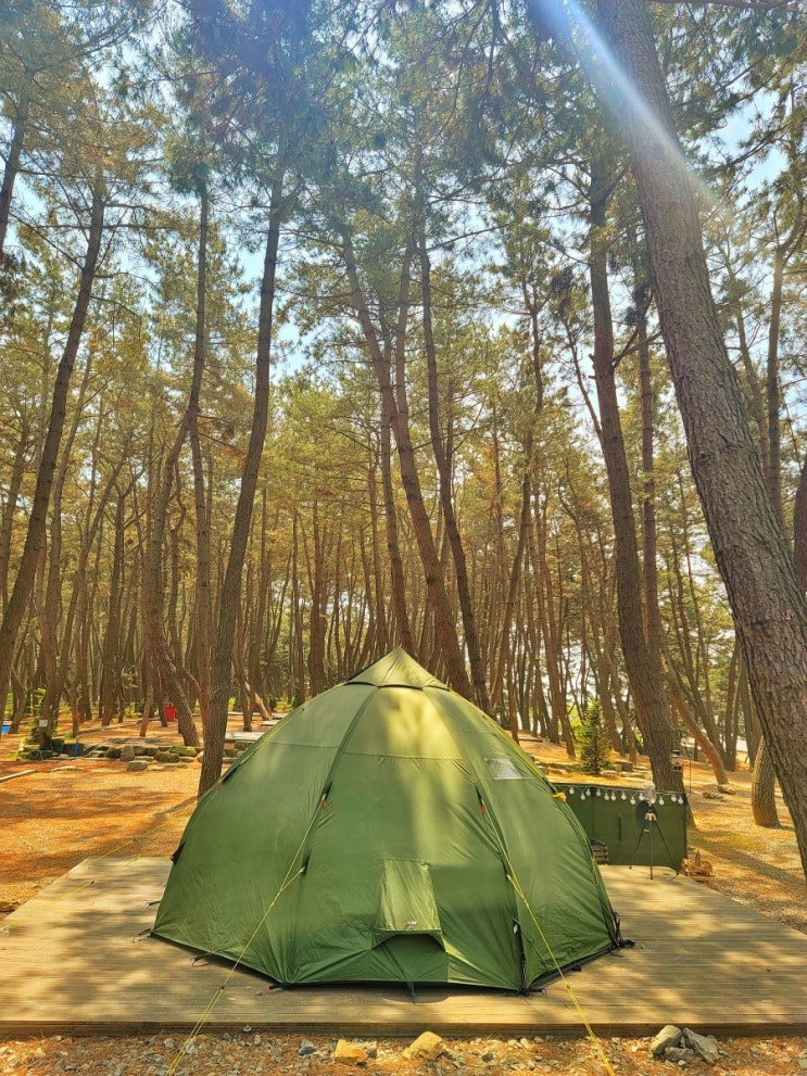  뷰맛집!! 장항오토캠핑장 2박3일 후기