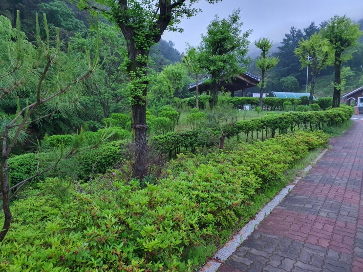  홍천 남산