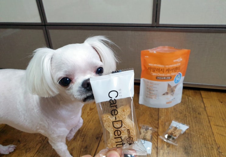  강아지치석제거껌 우리주케어덴티덴탈껌 오래먹는간식 추천
