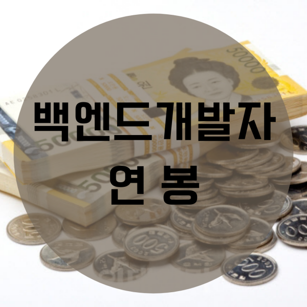  백엔드개발자 연봉 "메리트"있는 취업 준비해요!