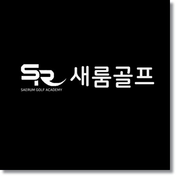  경기도 고양시 향동 골프연습장 중에서 새로 신설된 새룸골프 다녀왔어요