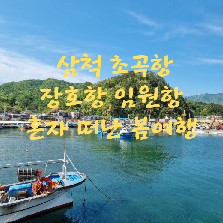 삼척 초곡항 장호항 임원항 혼자 떠난 봄여행(2)