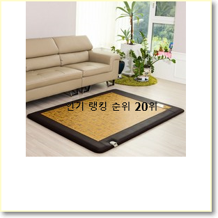  선물하기 좋은 1인용전기장판 물건 BEST 핫딜 TOP 20위