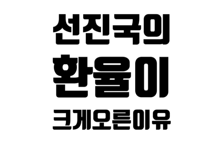 선진국의 환율이 크게 오른 이유