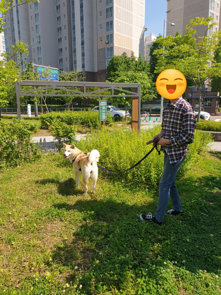  5월 18일 - 무제