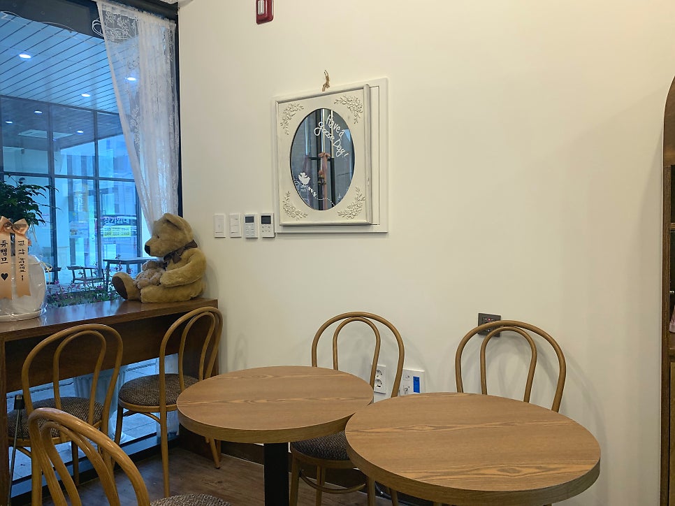 드리밍구스 사진 3