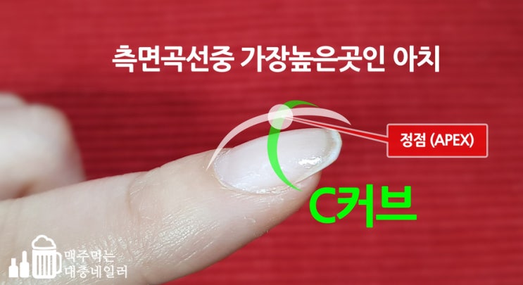  셀프젤네일 - 헛갈리는 네일아트 용어이야기 (2) 아름다움과 완성도를 추구하는데 필요한 용어