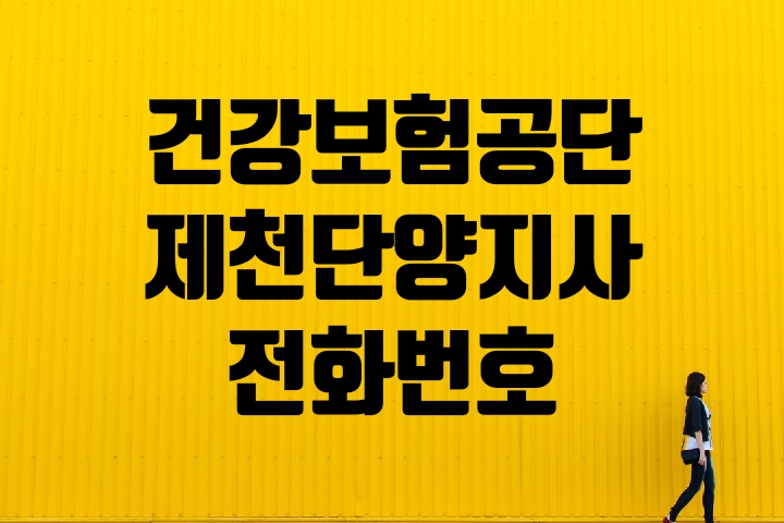  제천시 단양군 건강보험지사 전화번호