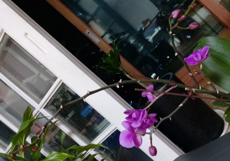 침묵의세계 막스 피카르트 자연과 침묵 일상생각 침묵의세계 막스 피카르트 자연과 침묵 일상생각
