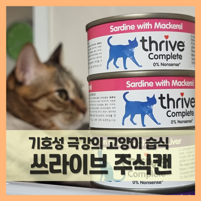  고양이 주식캔 쓰라이브, 습식사료 기호성 미쳤다리! (f. 케이캣페어 냠냠찹찹 습식연구소)