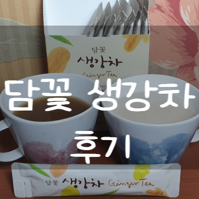  미세먼지 환절기에좋은차 담꽃 생강차