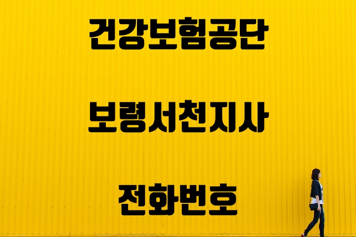  보령서천 건강보험지사 전화번호