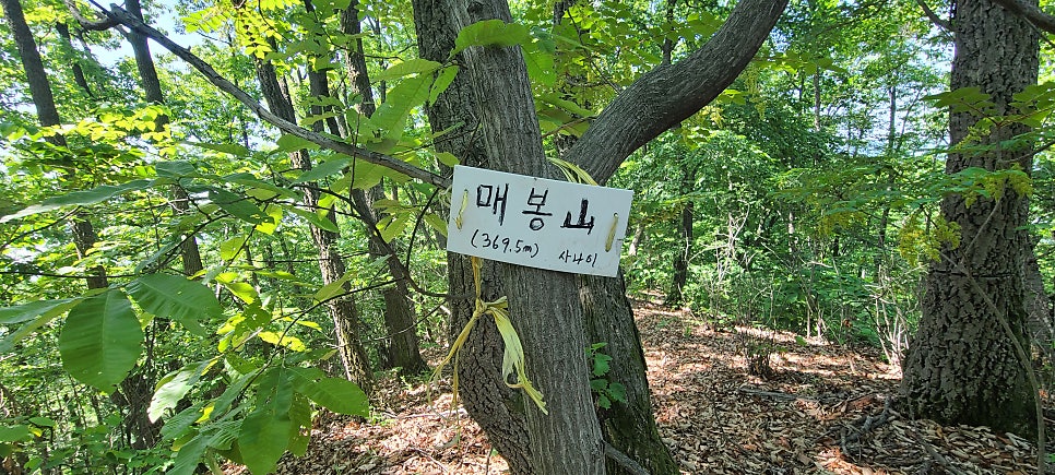 농밭구미산 사진 4