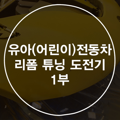  어린이(유아) 전동차 리폼/튜닝 도전기 1편