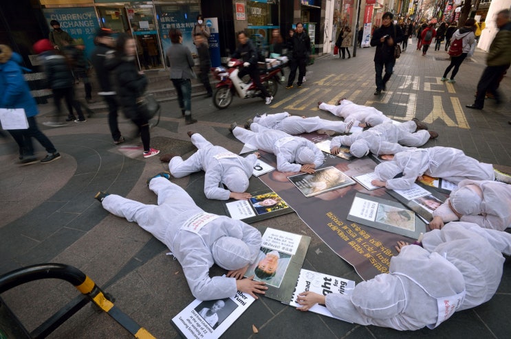 삼성과 싸우는 변호사 삼성과 싸우는 변호사