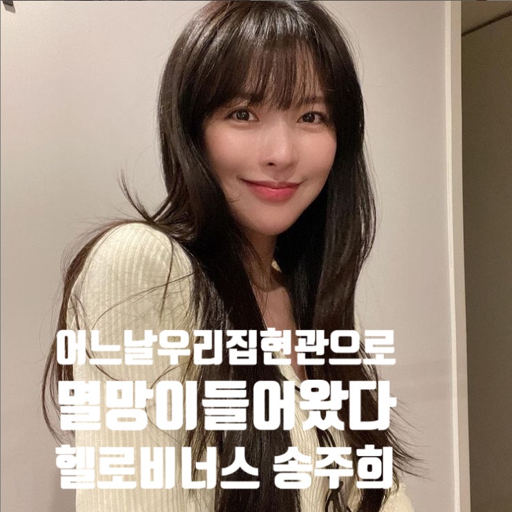 어느날 우리집현관으로 멸망이 들어왔다 조예지 주임 헬로 비너스 송주희 알아보기 어느날 우리집현관으로 멸망이 들어왔다 조예지 주임 헬로 비너스 송주희 알아보기