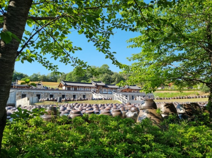[경기 연천] 세라비 한옥카페 & 로하스파크 생태습지공원