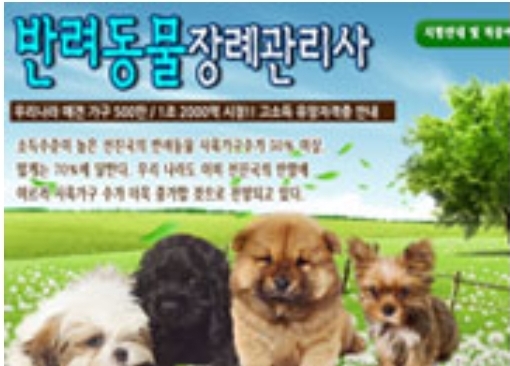  [자격증]반려동물장례관리사