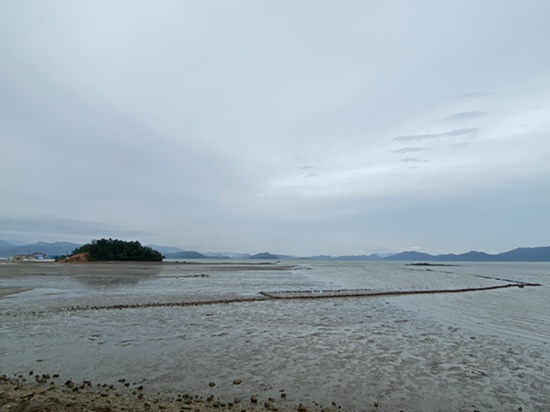 사초해변공원_전라남도 해남근처해변공원, 강진 캠핑장, 해남 오토캠핑장, 카라반주차가능, 사람 많은 해남해변보다 사람없는 강진해변공원 추천!!