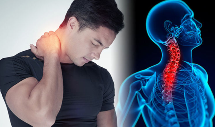  [질병 정보] 어깨가 뻐근한데 왜 목을 치료하나요? - 경추(cervical spine)에 대한 이해