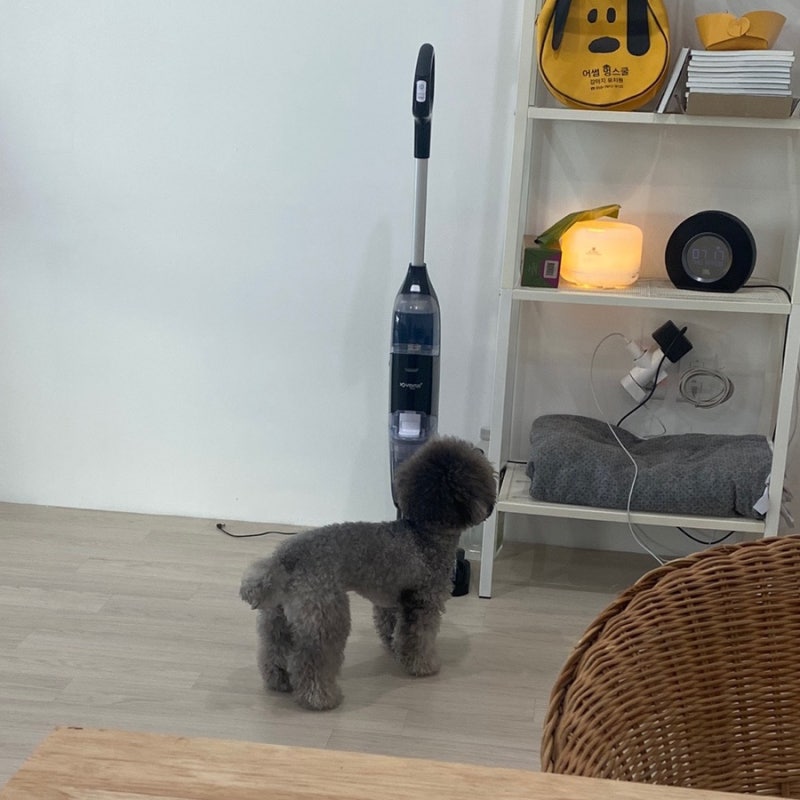 사진 6