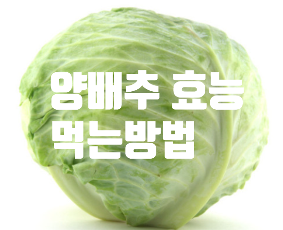  양배추 효능 먹는방법 알아보자