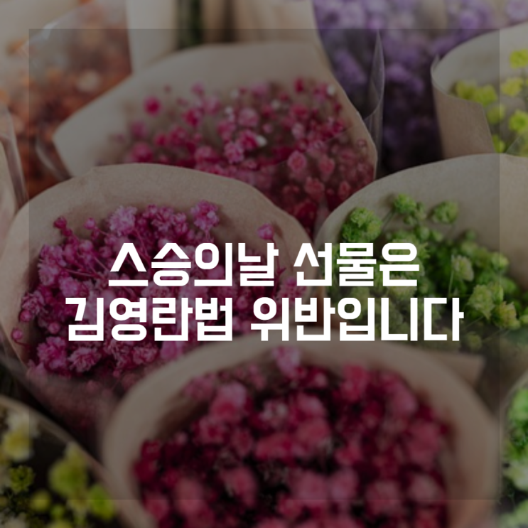  스승의날 김영란법 도대체 어디까지인가