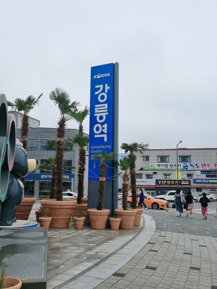  강릉여행_1일차 맛집투어