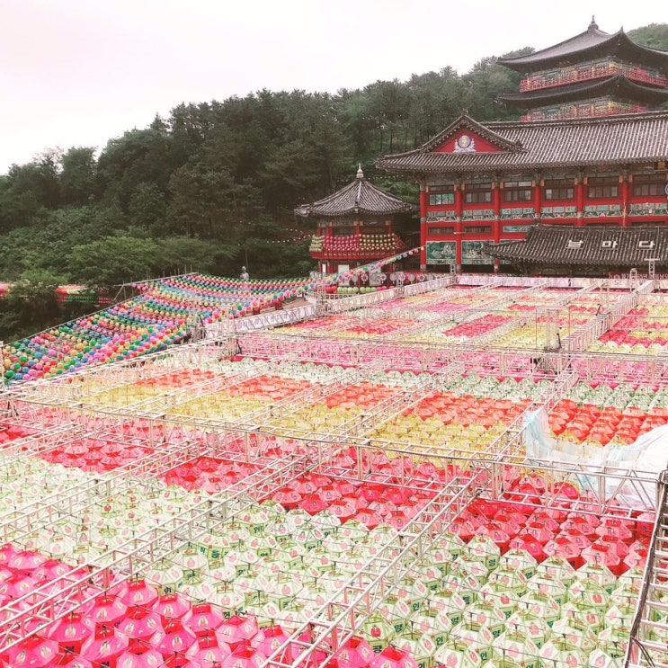  2021년 부처님오신날 ~부산삼광사 미리 다녀왔어요