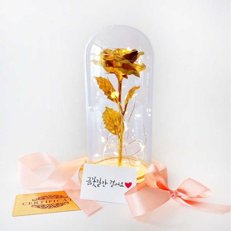 의외로 인기있는 금꽃 무드등 어버이날카네이션 기념일 생일 여자친구 엄마선물 장모님선물 어버이날 선물 추천해요 의외로 인기있는 금꽃 무드등 어버이날카네이션 기념일 생일 여자친구 엄마선물 장모님선물 어버이날 선물 추천해요