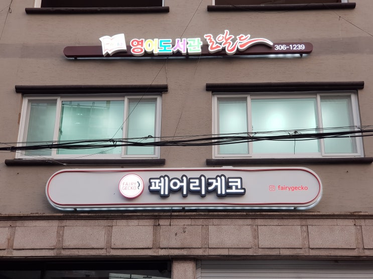  마포구 성산동 영어학원 로알드 도서관 방문 후기