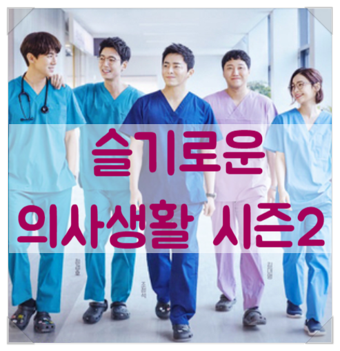 슬기로운 의사생활 시즌2 신원호 연출 우주최강 귀요미 김준