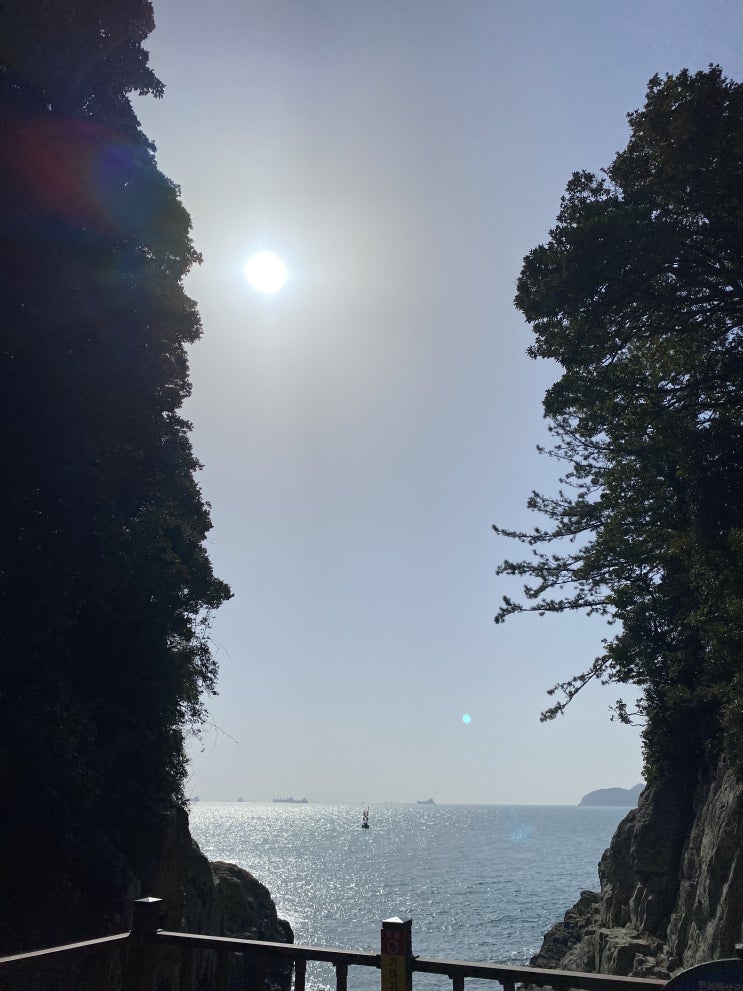  [여수] 오동도, 바람골, 여수 밤바다