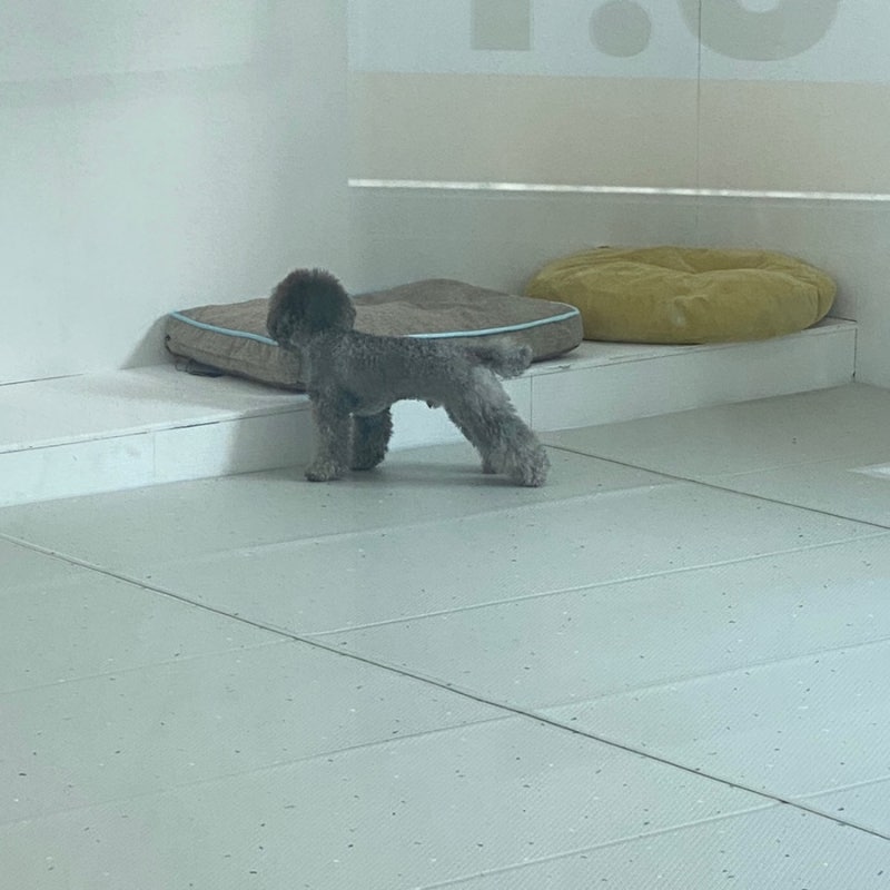 사진 4