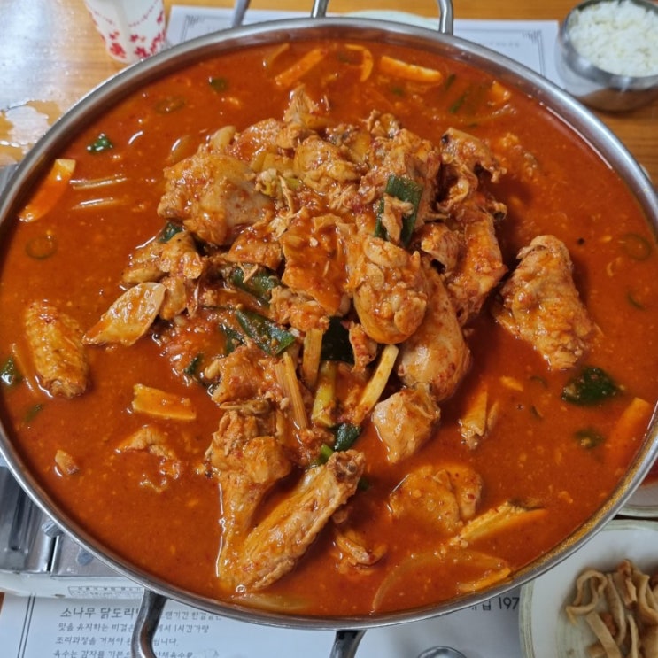  [서울 서초구] 소나무집 : 푸딘코 청국장 닭도리탕 맛집