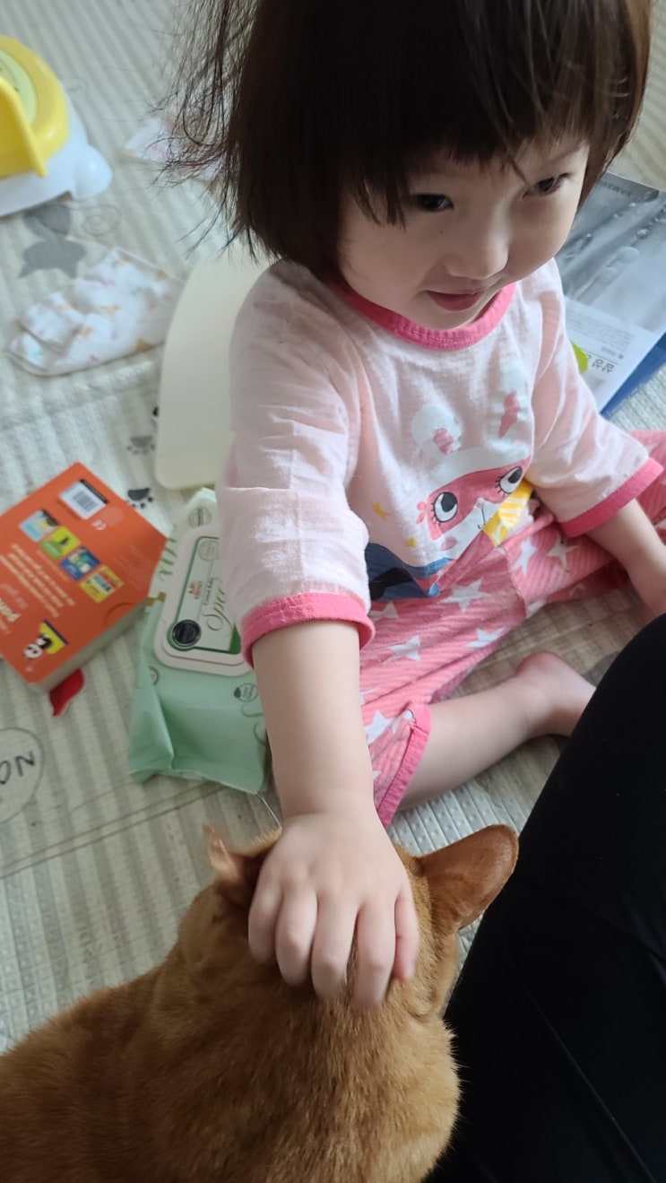  24개월 육아일기 나 홀로 생일파티