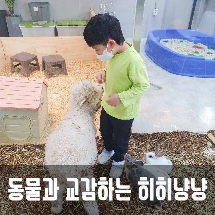  부천 히히냥냥 :: 체험형 동물원+고양이카페 즐거운시간 보냈어요