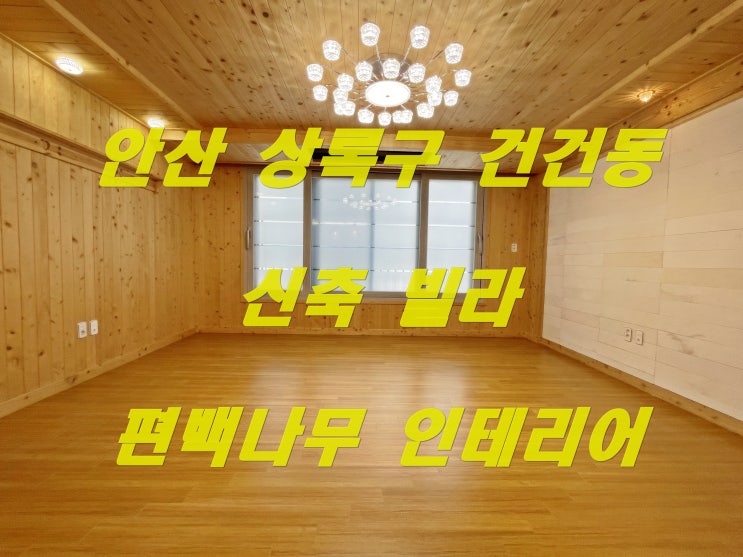  안산 상록구 4호선 반월역 신축빌라 역세권 편백나무 인테리어 희귀 매물