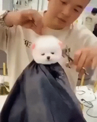  귀여워서 우째ㅎ~~~