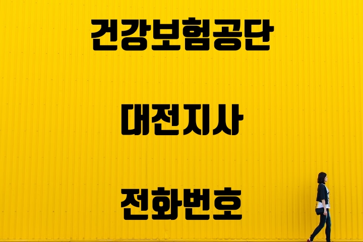  대전시 건강보험지사 전화번호