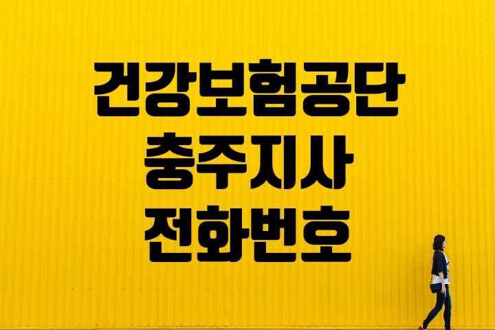  충주시 건강보험지사 전화번호